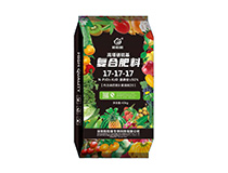 ������������Ϸ��� 17-17-17