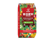 ��������� ���Ϸ���