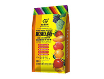 ��Ԫ���Ϸ�16-13-16