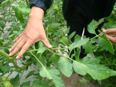 ������ʹ��Ч��