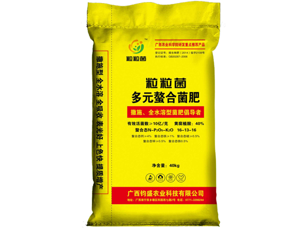 ��Ԫ�Ͼ���