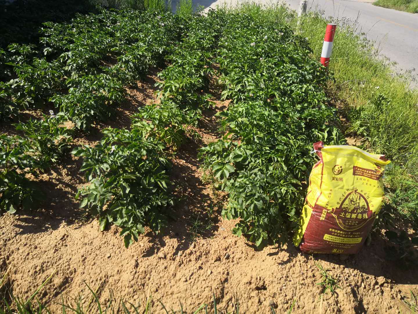 �ұ߶������ù������������ⶾ����