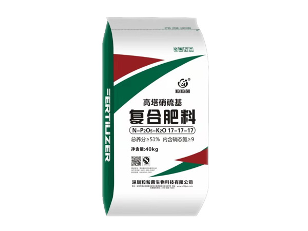 ������������Ϸ���